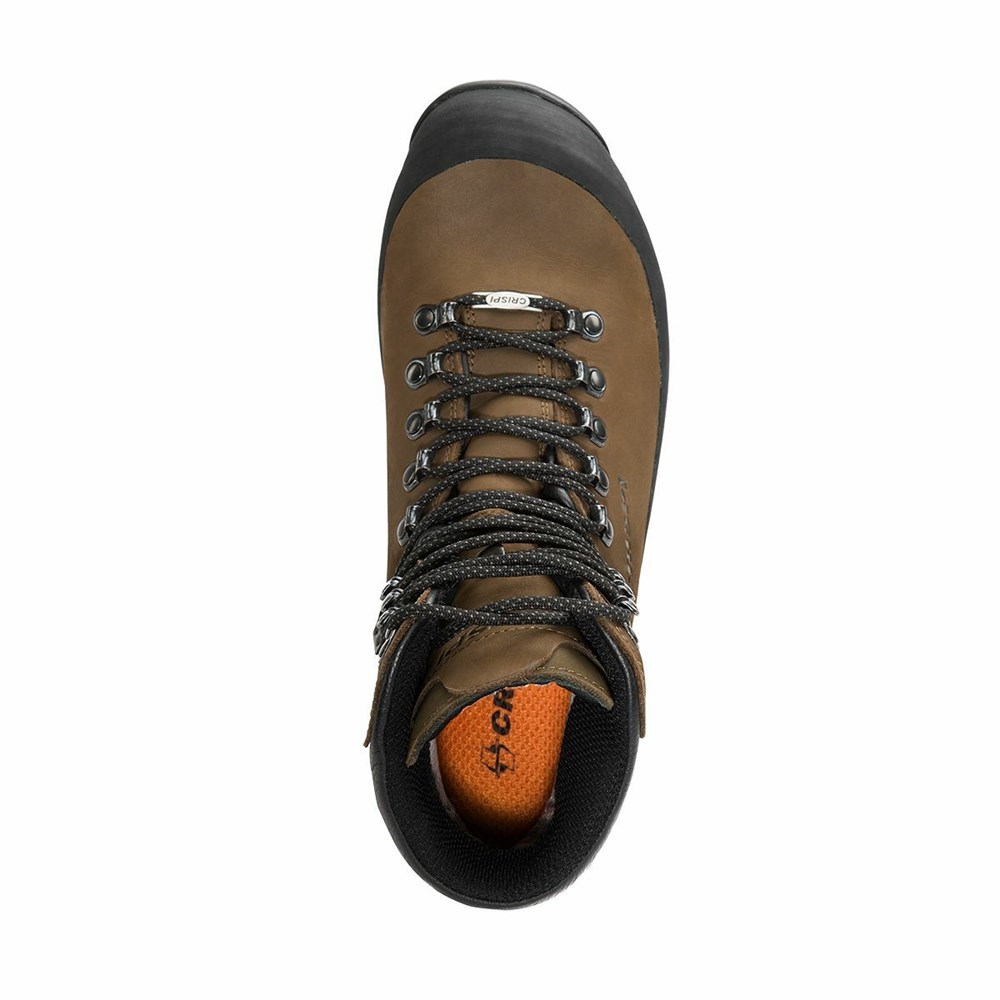 Chaussures De Chasse Crispi Skarven Ii Gtx Marron Homme | DOV-5401559