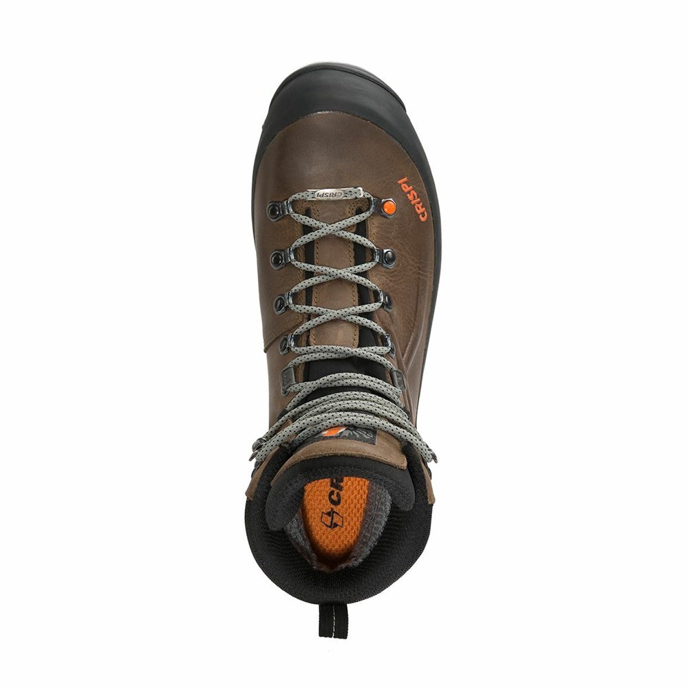 Chaussures De Chasse Crispi Valdres Plus Gtx Marron Homme | ZQJ-7012829