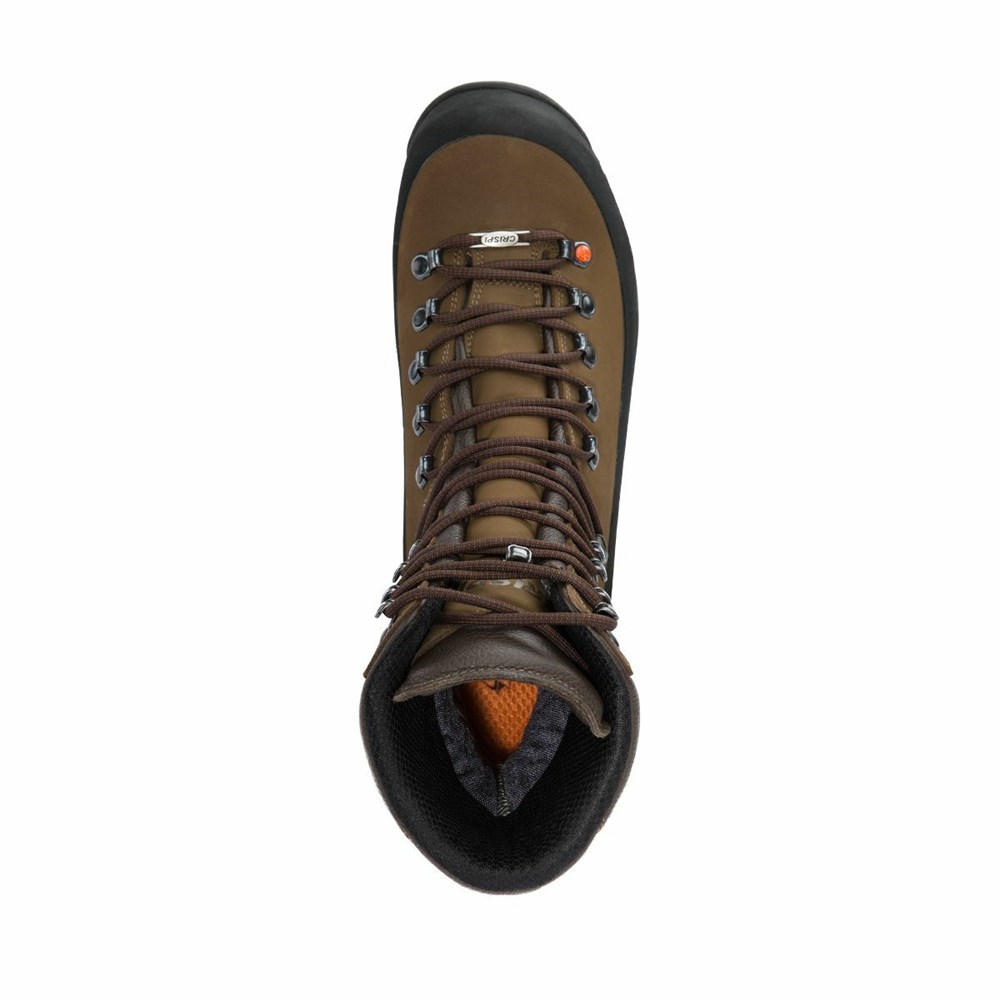 Chaussures De Chasse Crispi Guide Gtx Marron Homme | KQC-5665763