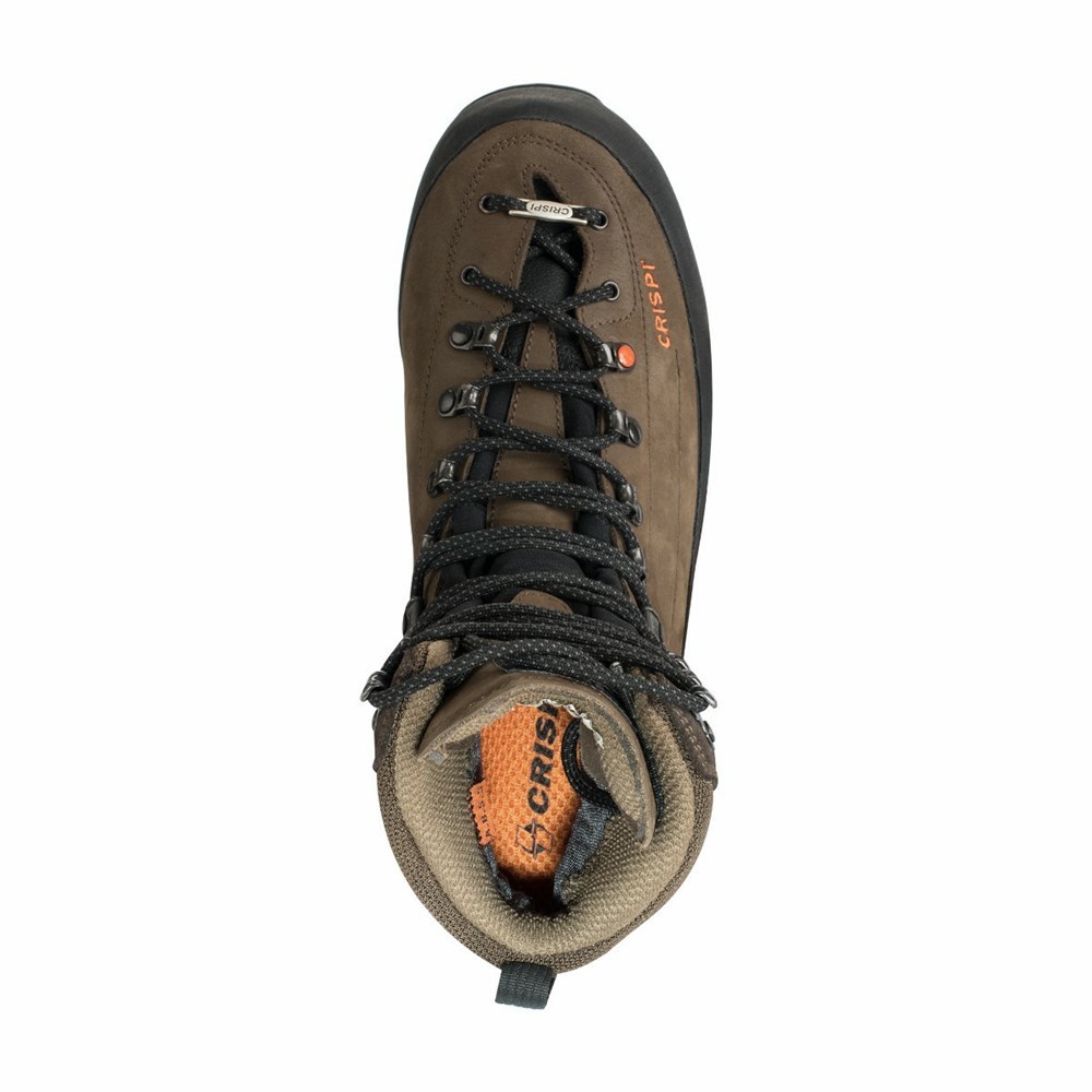 Chaussures De Chasse Crispi Briksdal Gtx Marron Homme | IWT-9862105