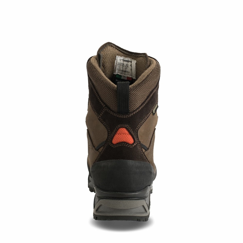 Chaussures De Chasse Crispi Briksdal Non-insulated Gtx Marron Homme | YAN-6504006