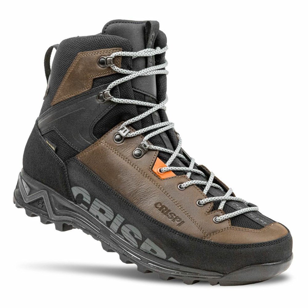 Chaussures De Chasse Crispi Altitude Gtx Marron Homme | FMT-2264136