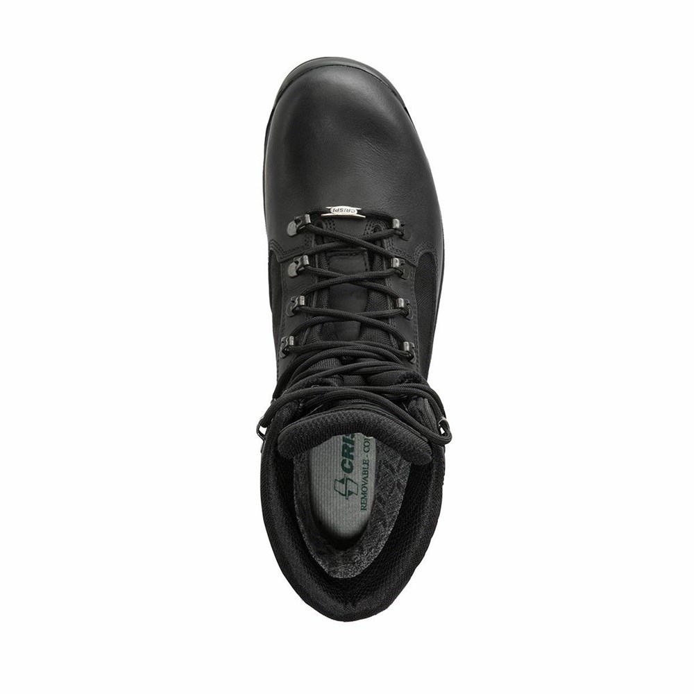 Chaussure Militaire Crispi Oasi Gtx Noir Homme | BDG-9303596