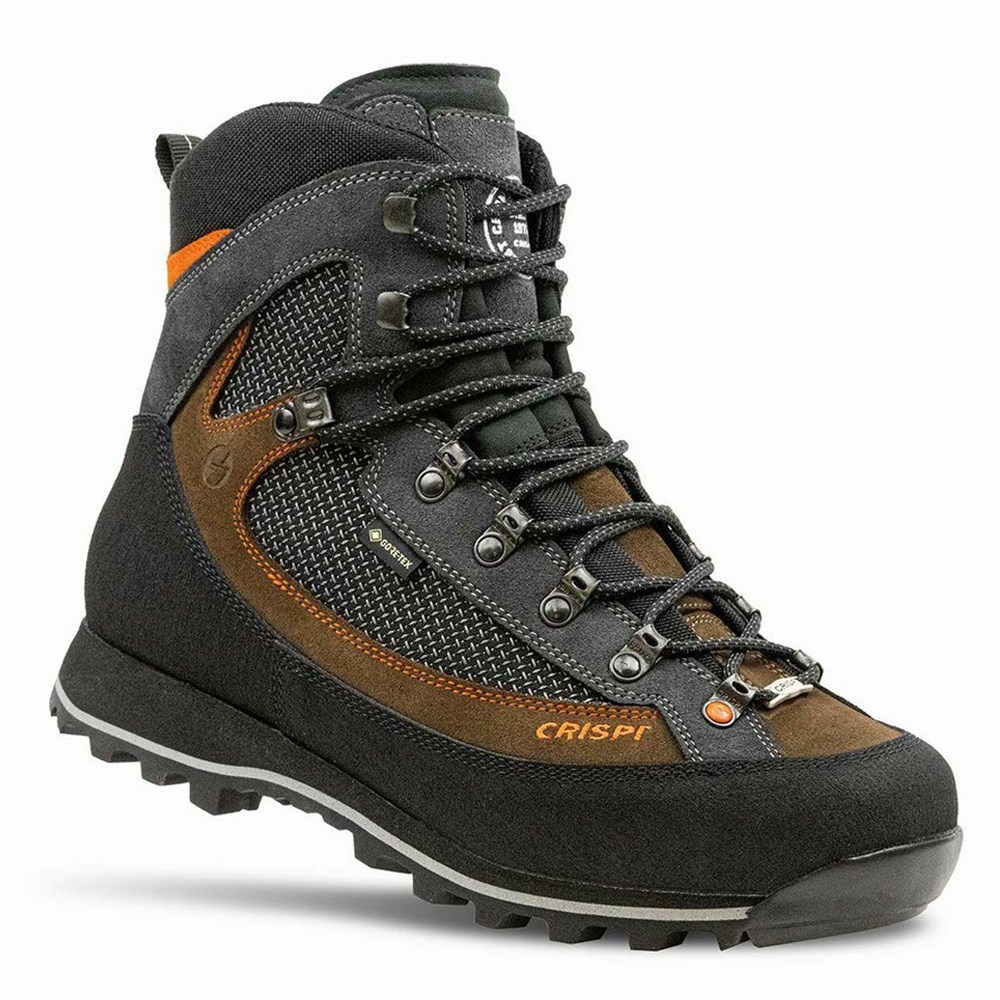 Chaussures De Chasse Crispi Summit Ii Gtx Noir Marron Homme | QFG-5984866